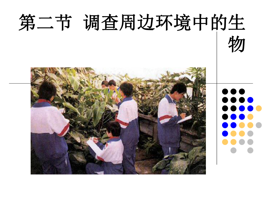 调查周边环境中的生物资料课件.ppt_第1页