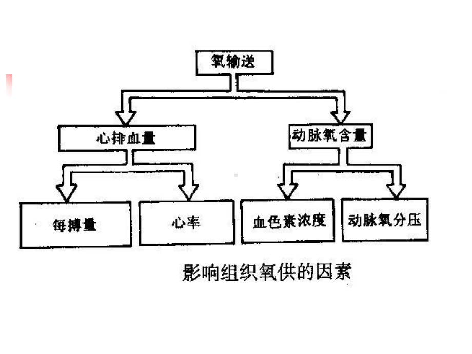 血流动力学监测课件.ppt_第3页