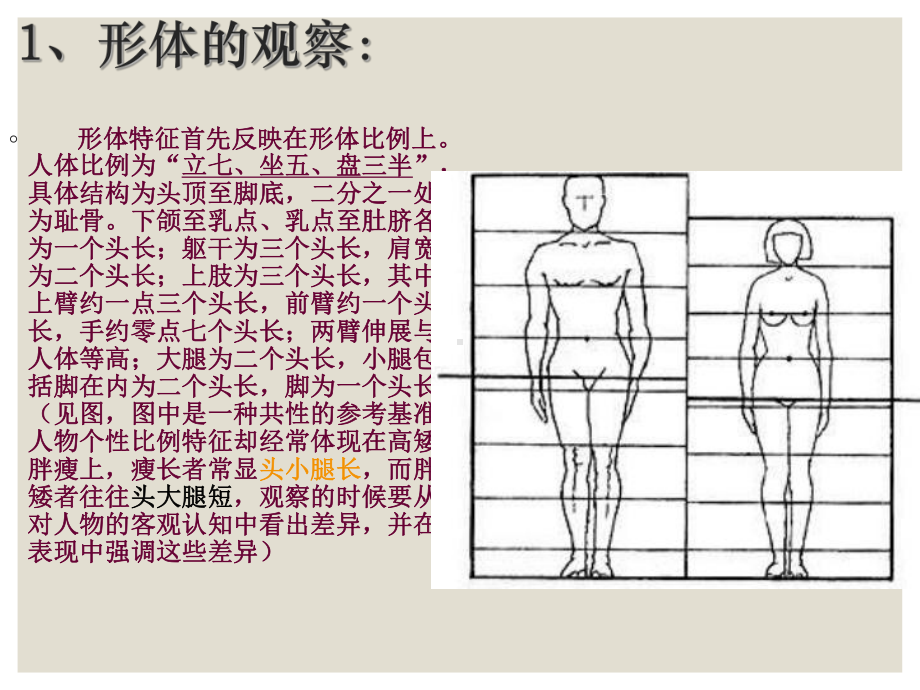 人体速写技巧和透视比例关系课件.ppt_第2页