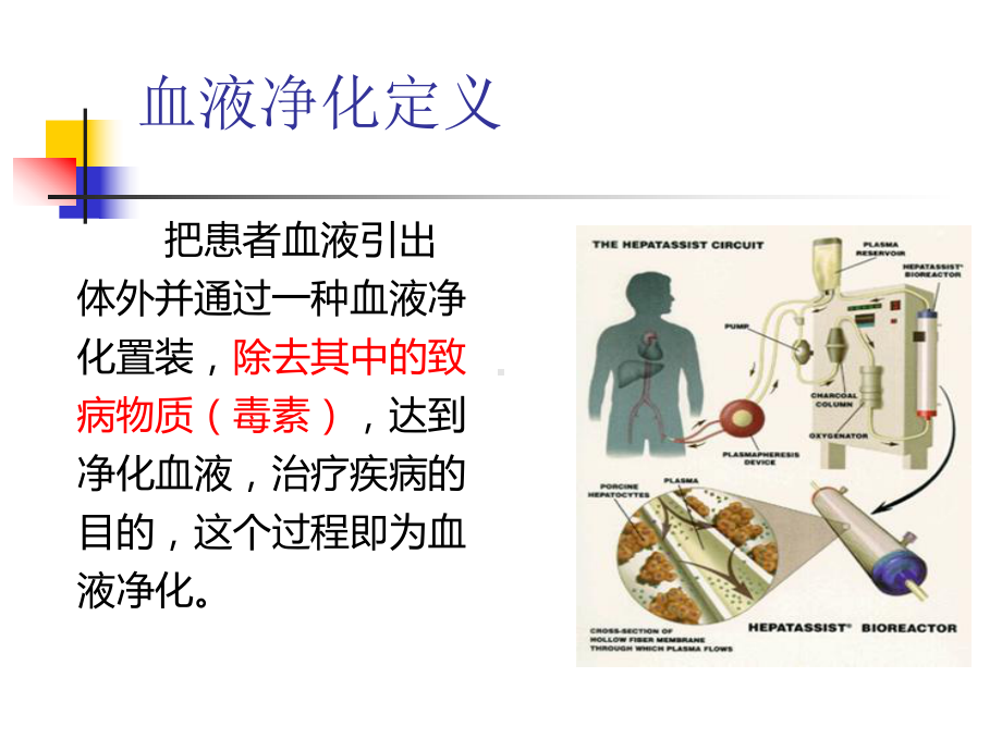 血液净化的概念原理与模式课件.pptx_第2页