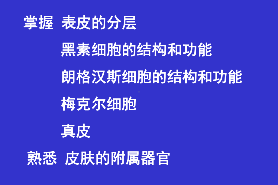 组织学与胚胎学之皮肤课件.ppt_第2页