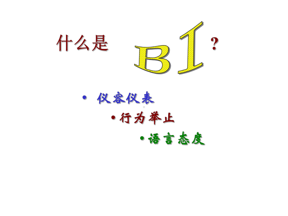 BI培训(物业日常规范标准)课件.ppt_第1页