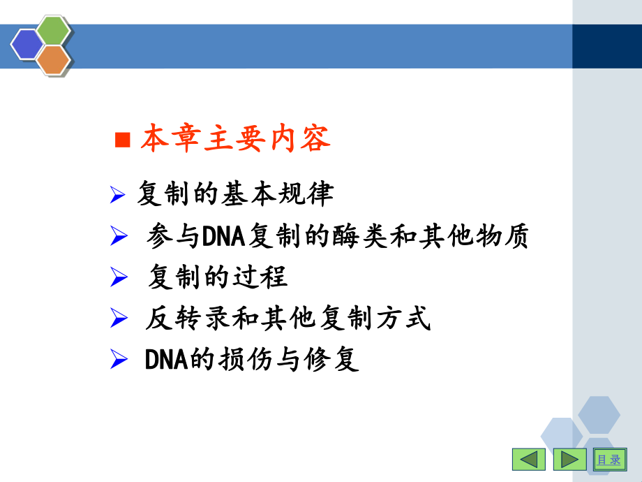 13 DNA的生物合成课件.ppt_第3页