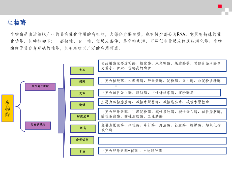 生物酶行业分析报告课件.ppt_第3页