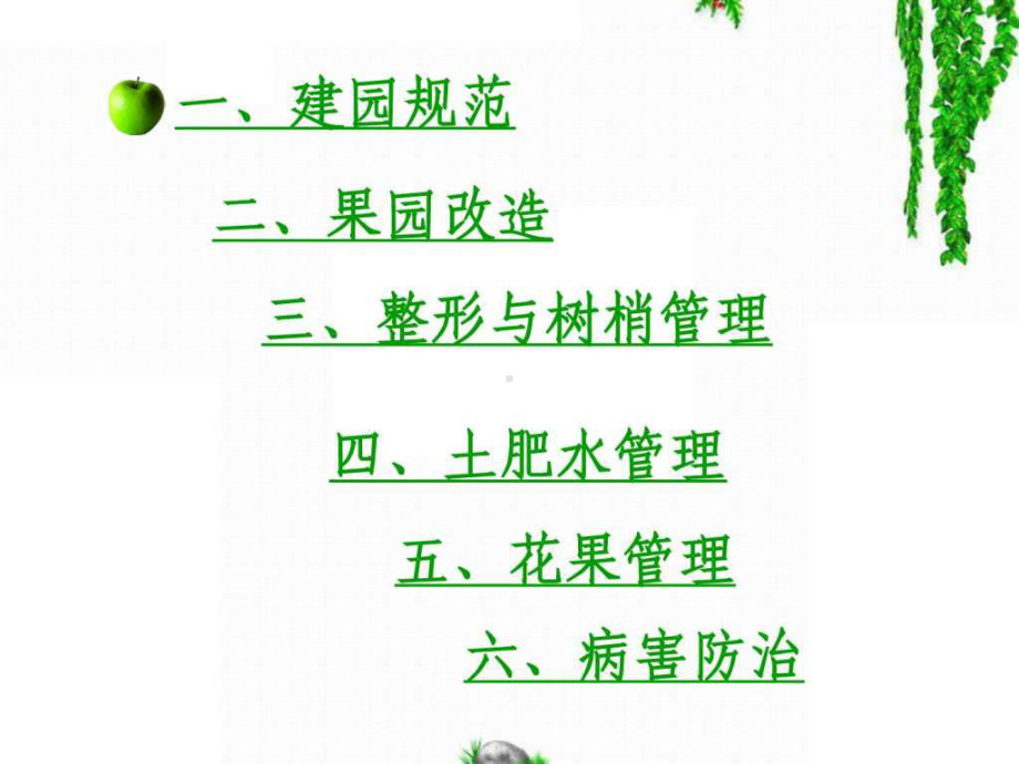 苹果种植技术课件.ppt_第2页