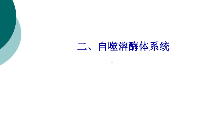 自噬研究的相关知识课件.ppt_第1页