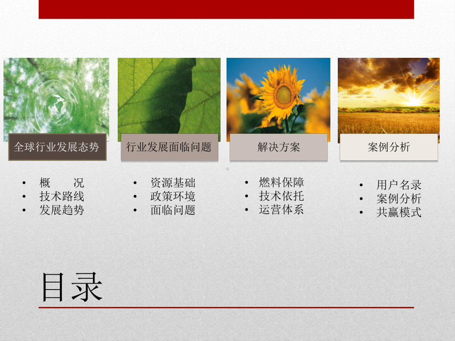 生物质供热面临的新挑战与应对策略课件.ppt_第2页