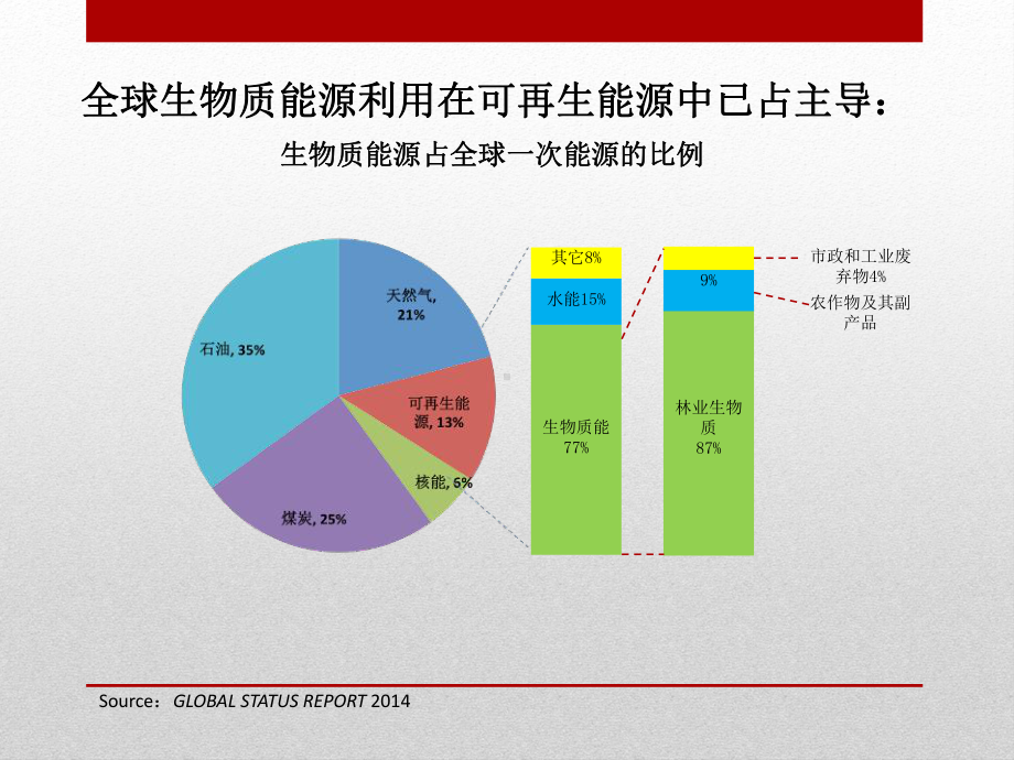 生物质供热面临的新挑战与应对策略课件.ppt_第3页