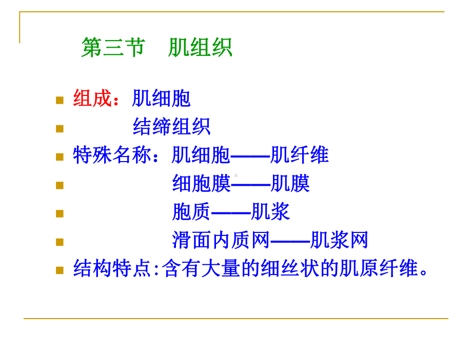 肌组织、神经组织(新)课件.ppt_第1页