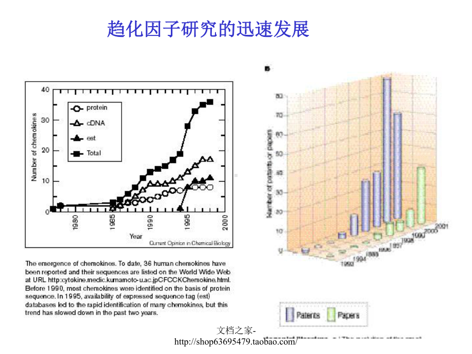 趋化因子研究进展(格式)--北京大学人类疾病基课件.ppt_第3页