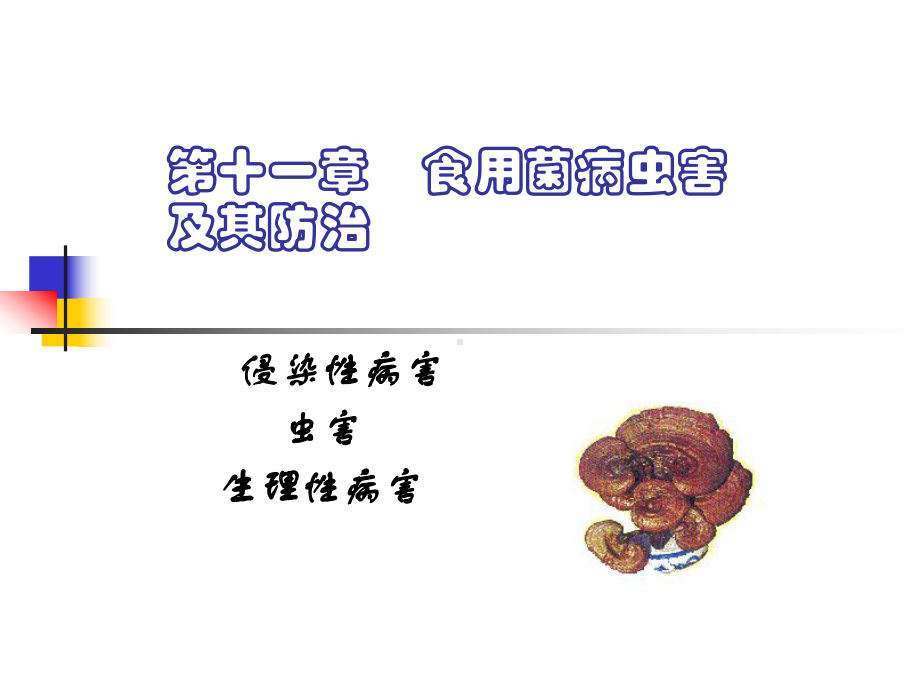 食用菌病虫害及其防治课件.ppt_第1页