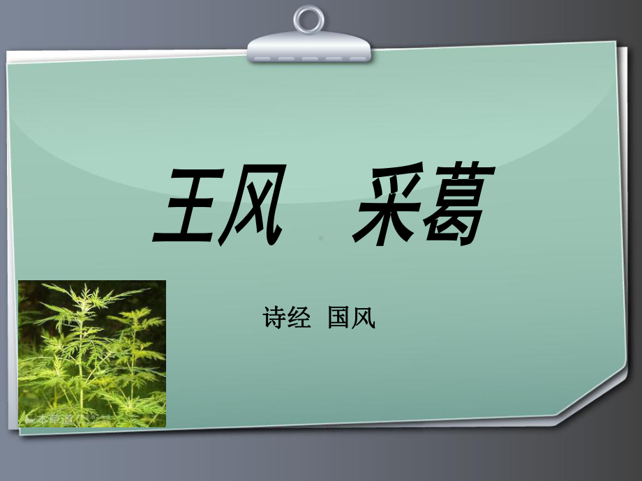 诗经国风王风采葛注释译文赏析课件.ppt_第1页