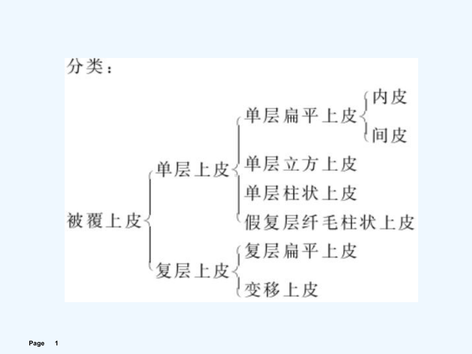 解剖学课程基本组织课件.ppt_第1页