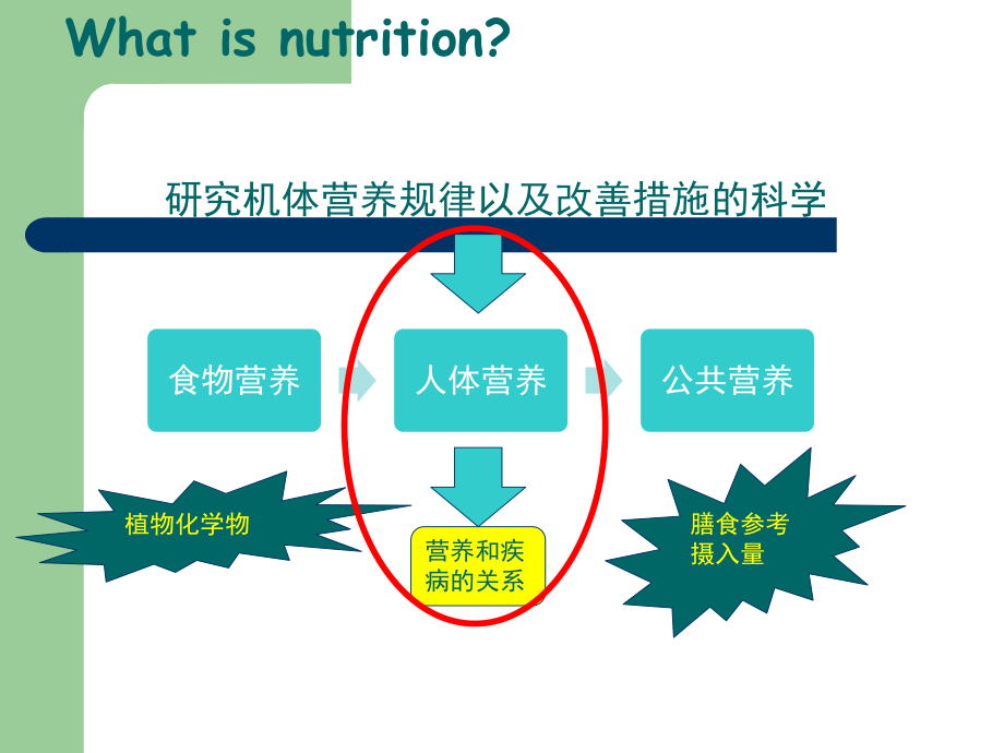 营养学研究方法课件.ppt_第2页