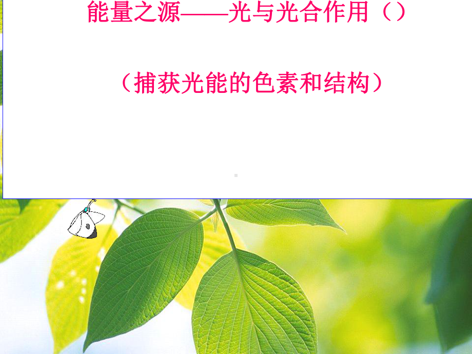 四川省成都市高中生物第五章细胞的能量供应和利用5课件.ppt_第1页