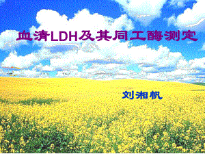 血清LDH及其同工酶测定课件.ppt