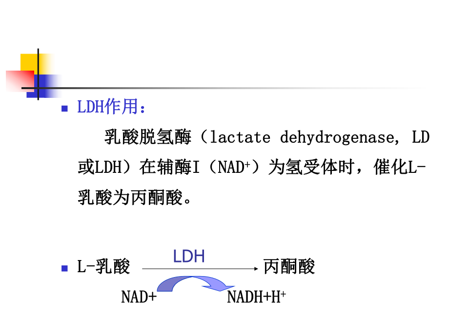 血清LDH及其同工酶测定课件.ppt_第2页