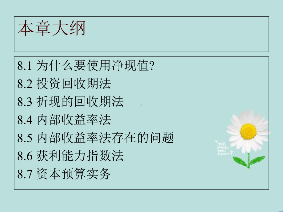 净现值计算方法和其他评价准则课件.ppt_第3页