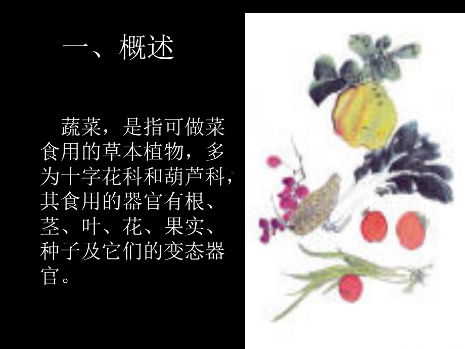 蔬菜原料共55页课件.ppt_第3页