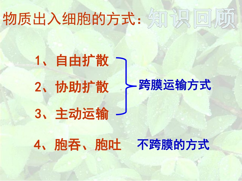 物质跨膜运输的方式和影响因素课件.ppt_第1页