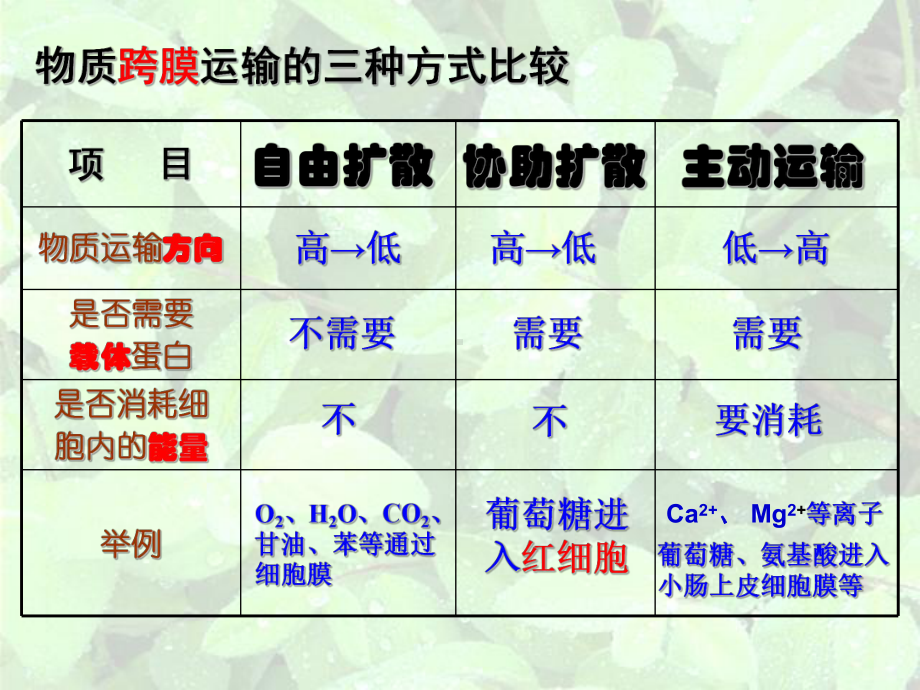 物质跨膜运输的方式和影响因素课件.ppt_第2页