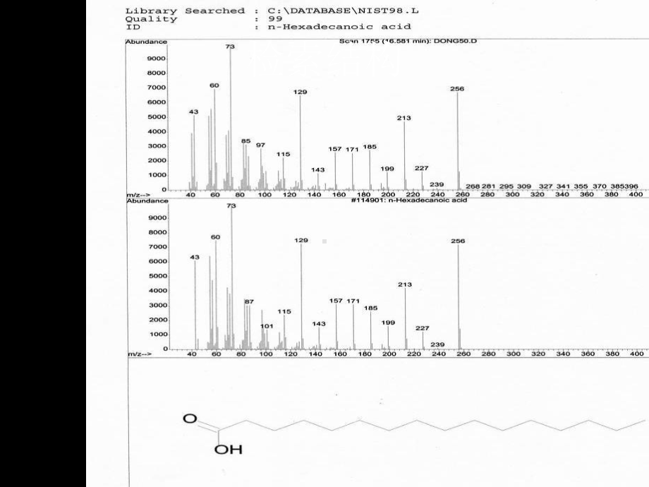 GCMS定性分析-共35页课件.ppt_第3页