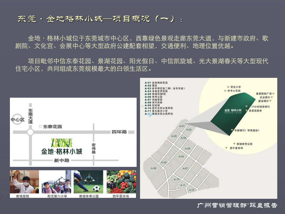 东莞金地格林小城产品及营销分析报告课件.ppt_第3页