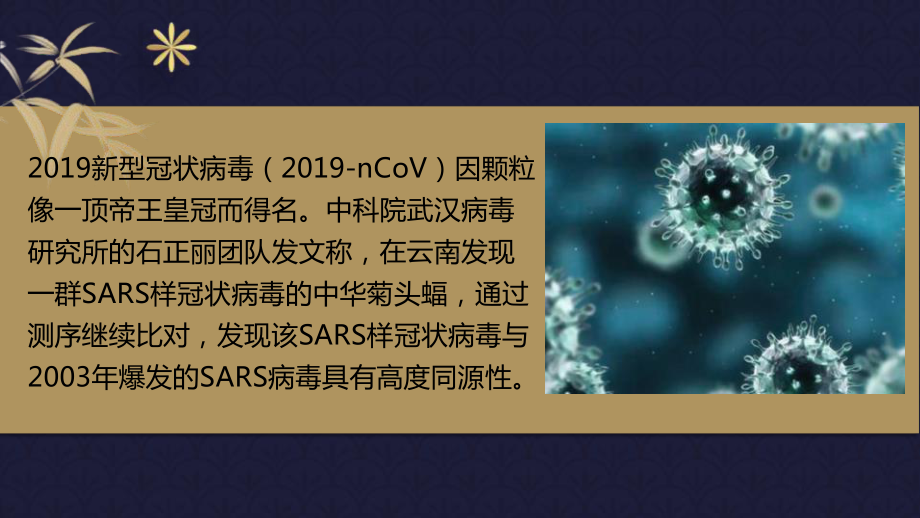 最新中小学生新学期健康教育主题班会课件PPT-抗疫主题班会.pptx_第3页