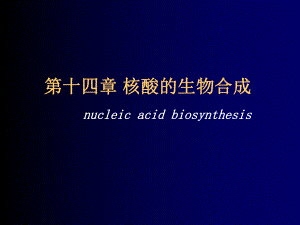 第13章DNA生物合成课件.ppt