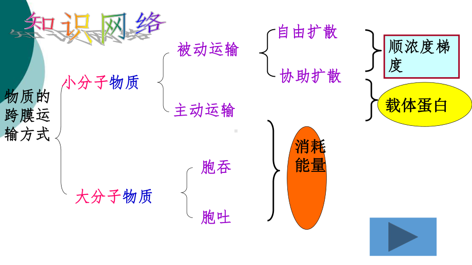 物质跨膜运输的方式-(3)课件.ppt_第3页