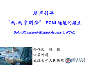 超声引导两两穿刺法-PCNL通道的建立课件.pptx