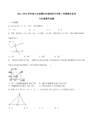 山东省滕州市柴胡店 2021-2022学年下学期期末备考七年级数学试题.docx