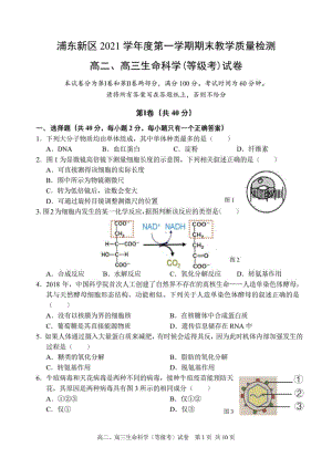 上海市浦东新区2021-2022学年高二、高三上学期期末教学质量检测生命科学（等级考）试卷.pdf