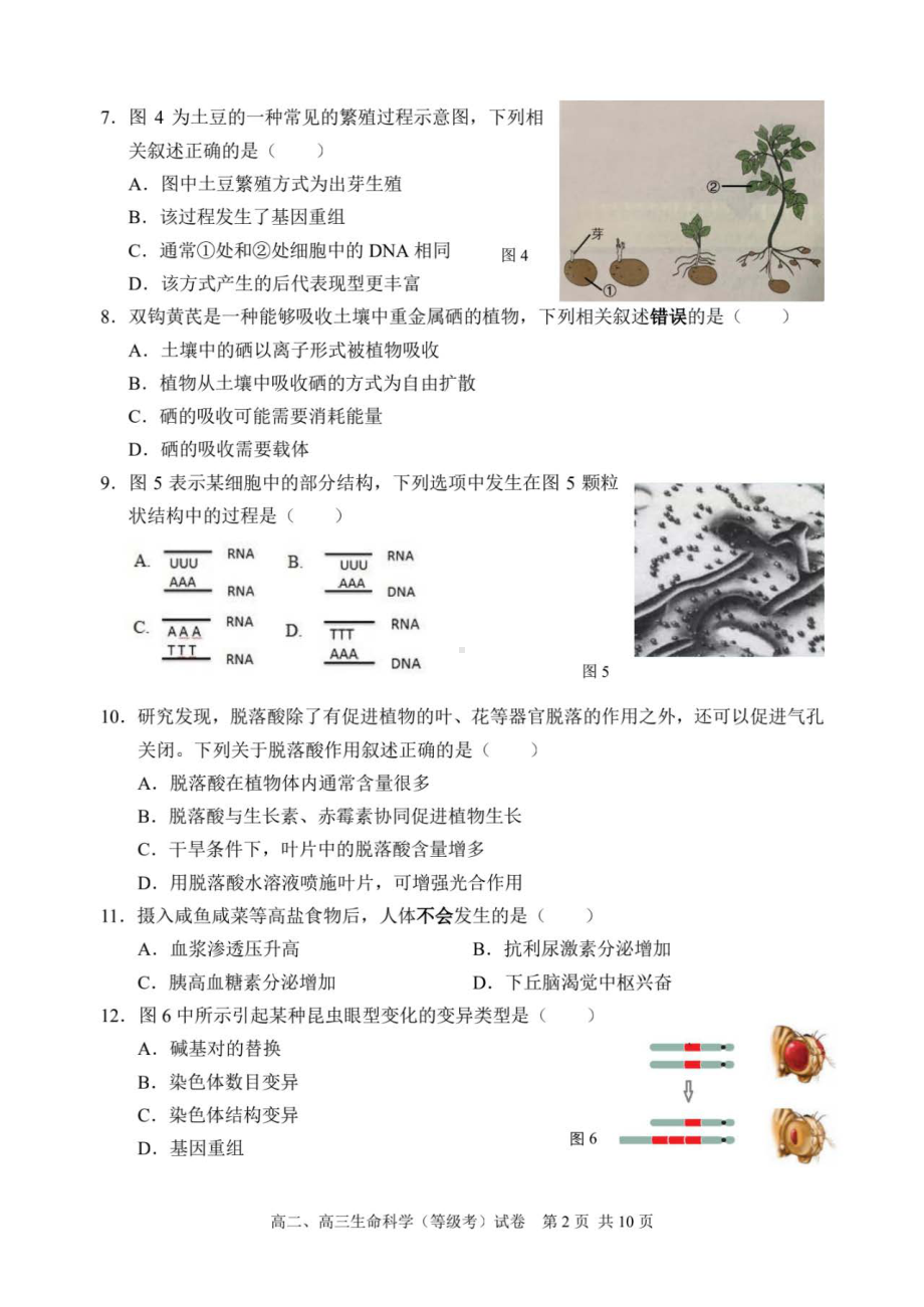 上海市浦东新区2021-2022学年高二、高三上学期期末教学质量检测生命科学（等级考）试卷.pdf_第2页