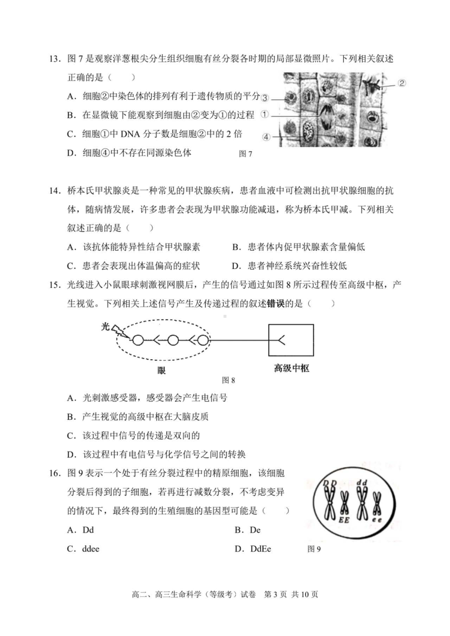 上海市浦东新区2021-2022学年高二、高三上学期期末教学质量检测生命科学（等级考）试卷.pdf_第3页