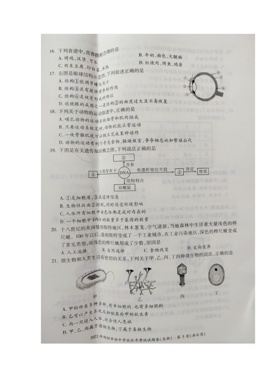 （中考试卷）2022年湖南省邵阳市初中学业水平考试生物真题.docx_第3页