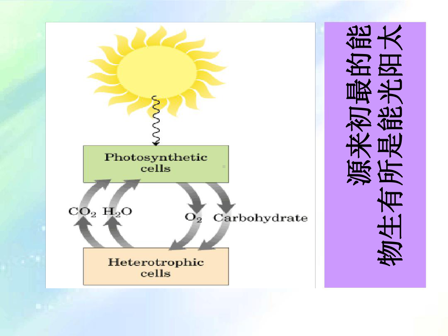 糖的生物合成课件.ppt_第3页