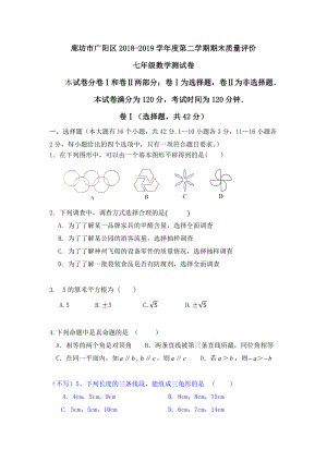 河北省廊坊市广阳区2018-2019学年七年级下学期期末数学试题.pdf