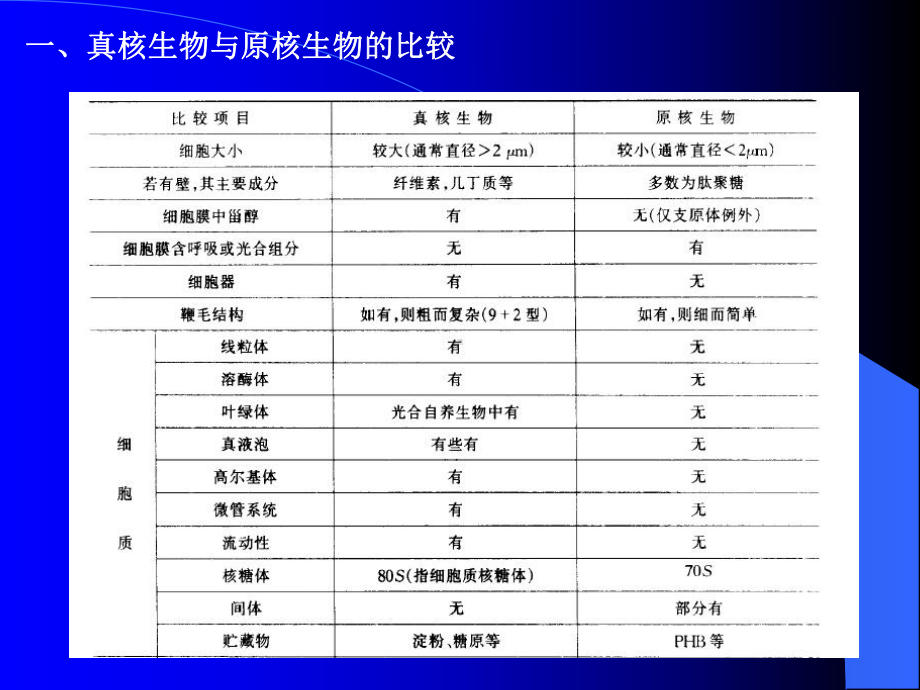 第二章-真核微生物的形态构造和功能课件.ppt_第3页