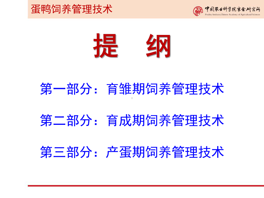 蛋鸭饲养管理技术.课件.ppt_第2页