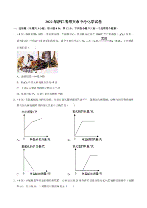 2022年浙江省绍兴市中考化学真题.docx