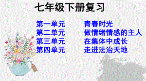 2020-2021学年人教部编版道德与法治七年级下册复习 ppt课件.pptx