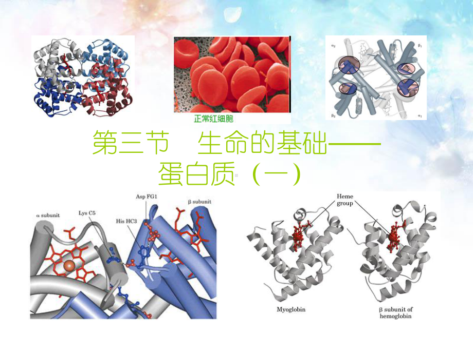 高中化学选修1：-1-3生命的基础-蛋白质1课件.ppt_第1页