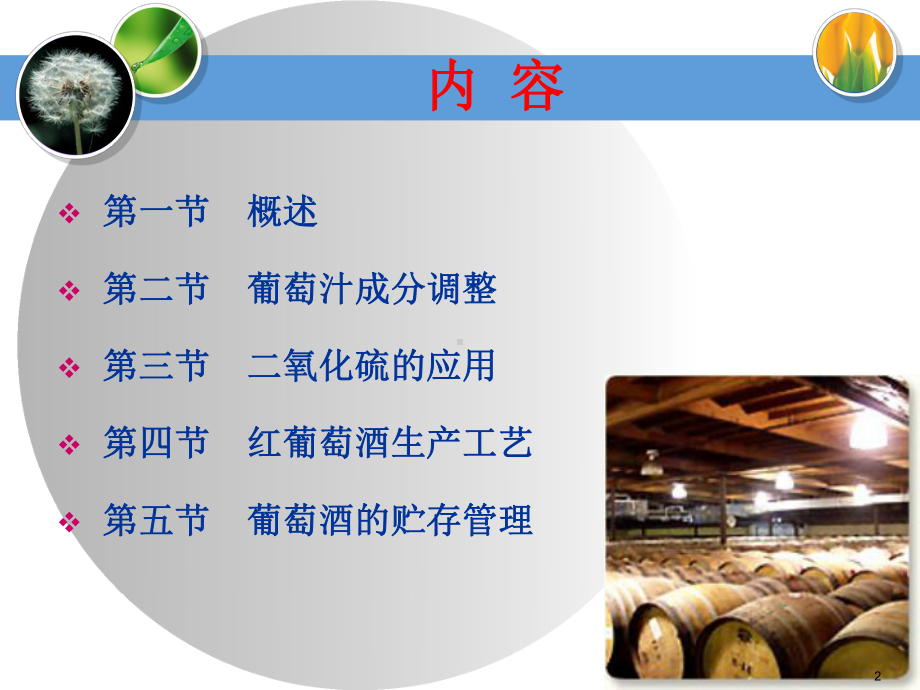 葡萄酒的生产工艺.ppt.课件.ppt_第2页