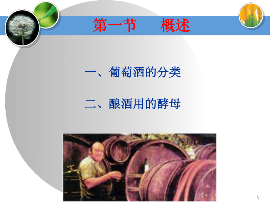 葡萄酒的生产工艺.ppt.课件.ppt_第3页