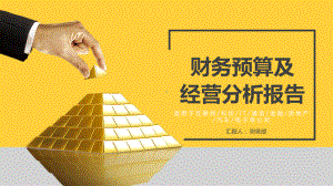 图文财富金字塔财务预算及经营分析PPT（内容）课件.pptx