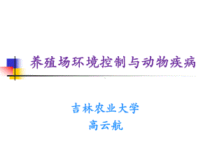 环境温度对动物采食量的影响课件.ppt