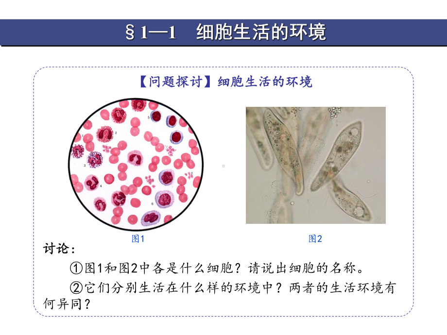 细胞外液的渗透压和酸碱度课件.ppt_第2页