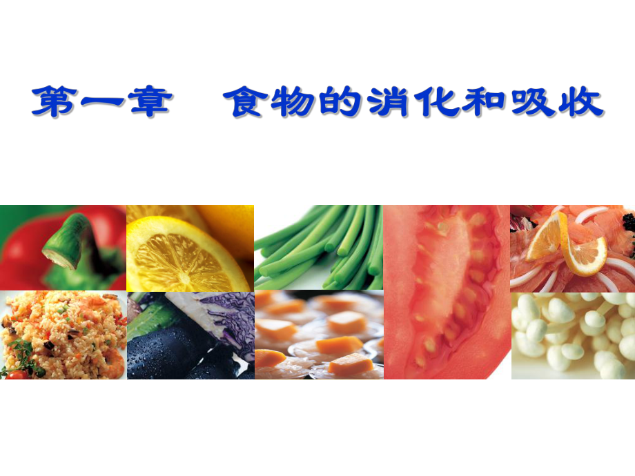 食品营养学第1章--食物的消化和吸收课件.ppt_第3页