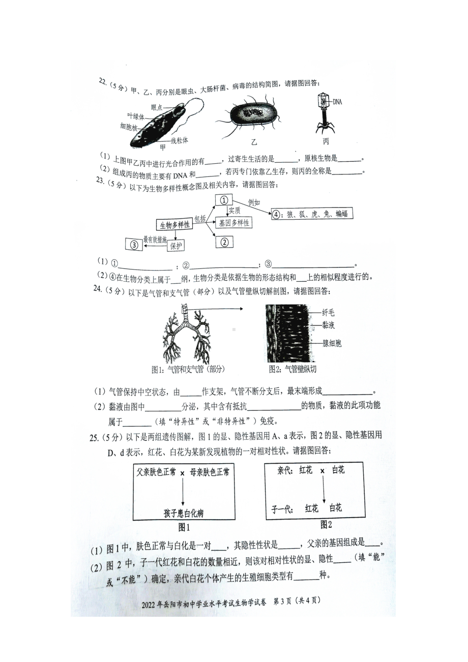 （中考试卷）2020湖南省岳阳市中考生物试卷（图片版无答案）.docx_第3页